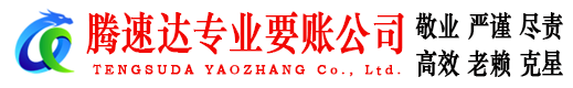 云龙要账公司